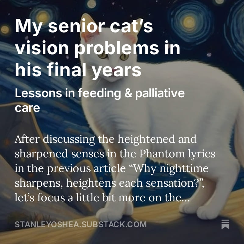 My senior cat’s vision problems in his final years